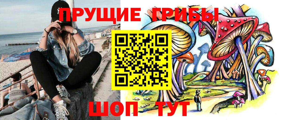 Элиста  Галлюциногенные грибы мухоморы  Галлюциногенные грибы Magic Shrooms  Вход с VPN 
