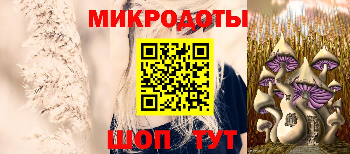 Псилоцибиновые грибы Psilocybine cubensis Элиста